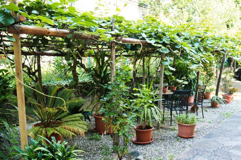 パルチーネス Cafe Rudi Living Bed & Breakfast エクステリア 写真